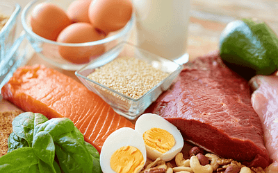 The Magic of 30 grams of Protein
